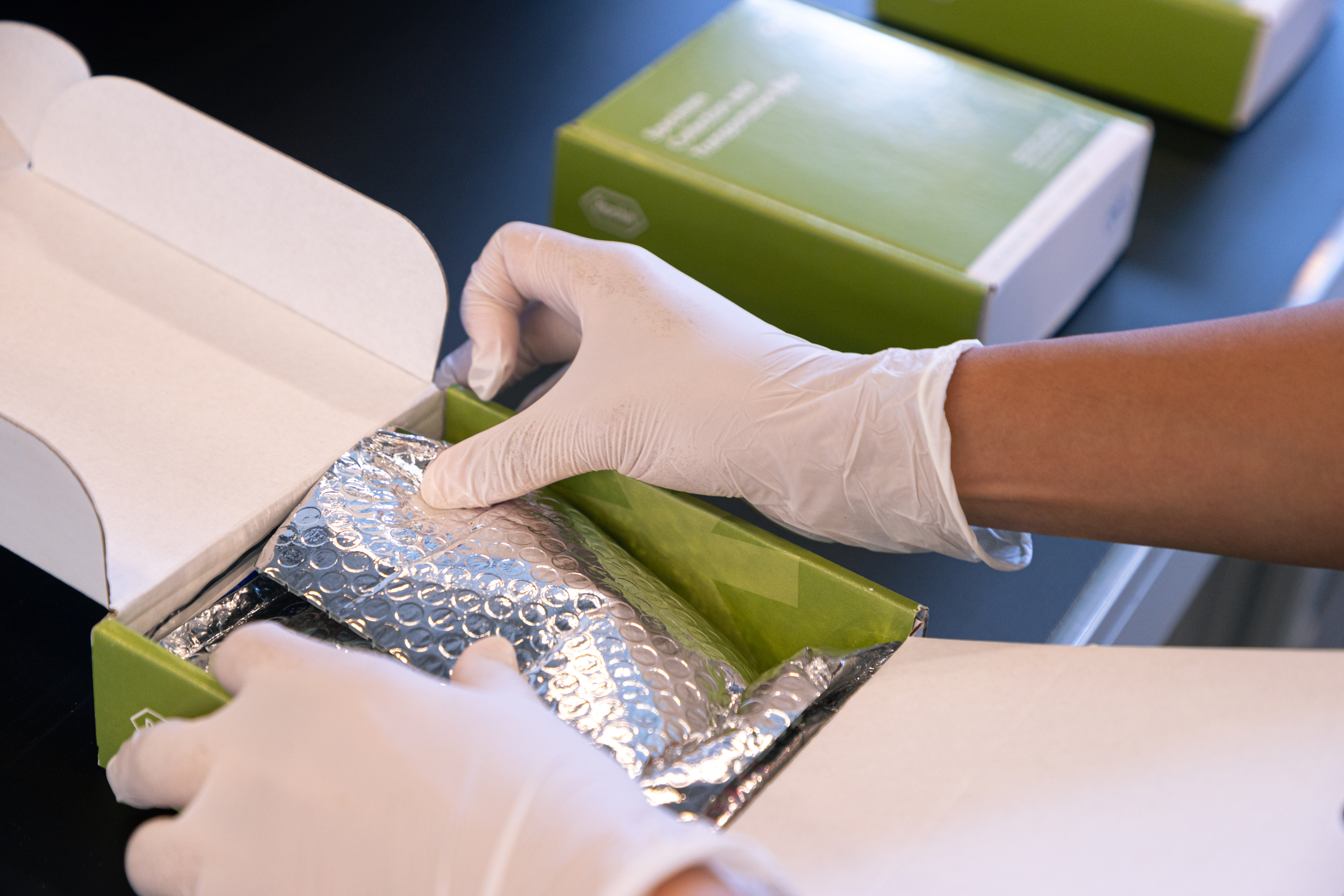 Inlay - Packaging